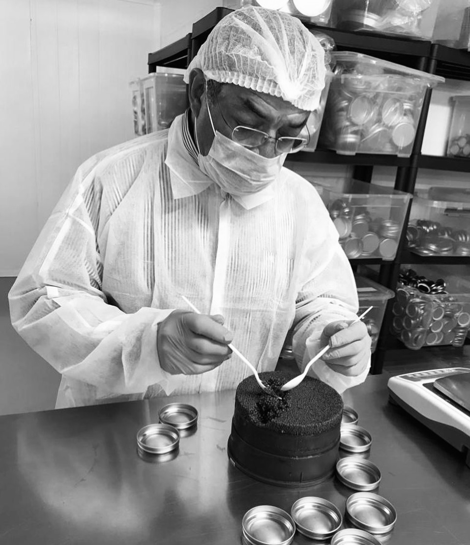 Azad en laboratoire, remplissant à la main une boîte de caviar à la cuillère de nacre