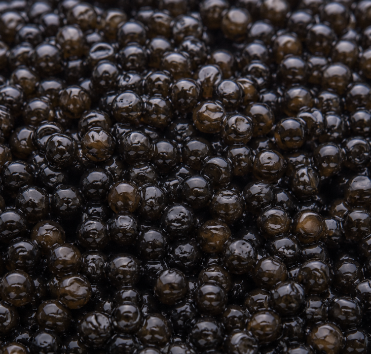 Gros plan des perles de Caviar Persicus