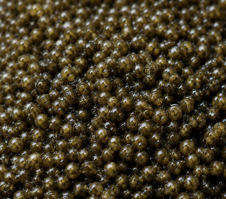 Gros plan des perles de Caviar Ossetra