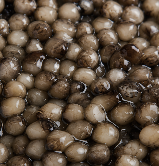Gros plan des perles de Caviar Acipentris